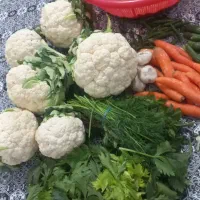 آشپزی با مدیریت خانوم ابراهیمی|خدمات پذیرایی، مراسم|آبیک, |دیوار