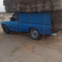 کاه ریگ فروشی