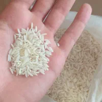 برنج صدری