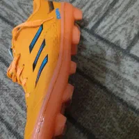 کفش استوک|کیف، کفش، کمربند|قدس, شهرقدس|دیوار