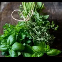 سبزی خوردن خورشی اشی قلیه