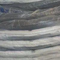 سپر زانتیا