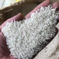 انواع برنج نیم دانه شمال و جنوب درجه یک