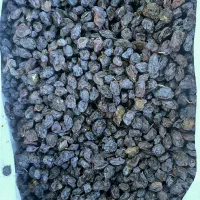 مویز کشمش شیره|عمده‌فروشی|شیراز, شهرک فرزانگان|دیوار