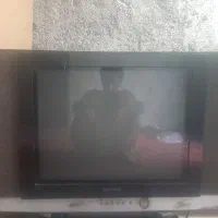 تلویزیون