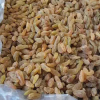 کشمش سبز با کیفیت موقعیت کاشمر