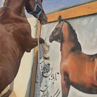 استخدام نیروی کار ماهر برای نگهداری و نظافت اسب