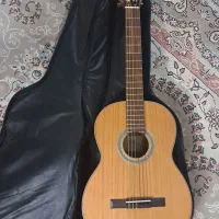 گیتار کورت ziricote