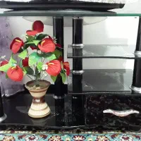 زیر تلوزیون