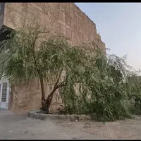 ۲۰۰ متر زمین مسکونی-اشکاوند