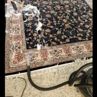 مبل شویی آقای اسماعیلی به بهترین قیمت/کیفیت|خدمات نظافت|ساوه, |دیوار
