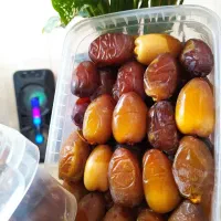 رطب‌ کبکاب دشتستان