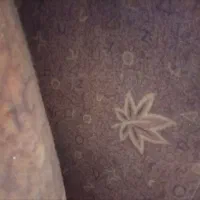 فروش موکت۱۲متری