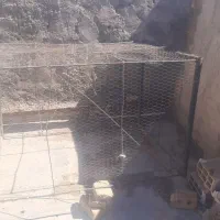 قفس حیوانات