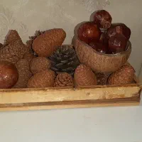 کلبه دکوری لانه پرنده ، حلقه های پشت ، تعدادی کاج|صنایع دستی و سایر لوازم تزئینی|اهواز, شهرک حفاری|دیوار
