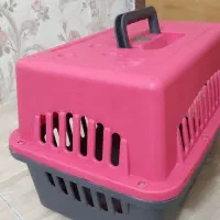 وسایل گربه تخفیف ویژه|لوازم جانبی حیوانات|تهران, جوادیه تهرانپارس|دیوار