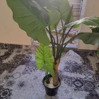 گل مصنوعی