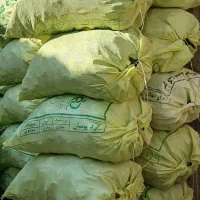 پخش عمده ذغال کبابی رضایی