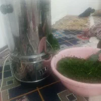 سبزی خرد کن در حد نو