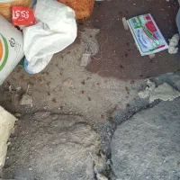 نظافت ساختمان اسید شویی پارکینگ و سمپاشی سوسک|خدمات نظافت|مشهد, کوثر|دیوار