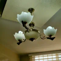 لوسترسالم دوعدد