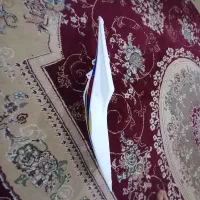 فلاپ مگلی ریس