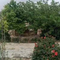 ۳۲۰ متر باغچه