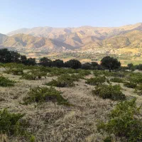 باغ-کشاورزی