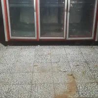 یخجال شیش در