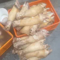 کله پاچه وپای گاو