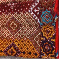 زی آستین چپی دوز صحیح و سالم|لباس|زاهدان, |دیوار