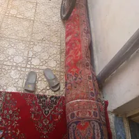 دو عدد فرش دستباف|فرش|میانه, |دیوار