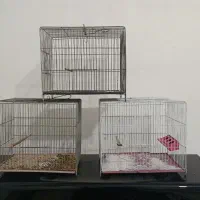 سه عدد قفس سالم|لوازم جانبی حیوانات|دورود, |دیوار
