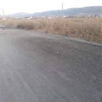 جو درجه یک بذر ازنا الیگودرز