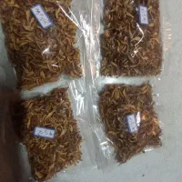 بهارنارنج اصل شیراز