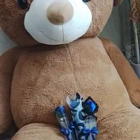 قشنگ بزرگ|کلکسیون و سرگرمی|کرمان, |دیوار