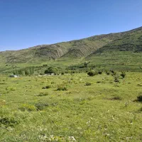 فروش-زمین-مادوان-سفلی