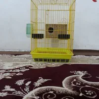 قفس کاسکویی بزرگ محکم