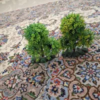 آکواریوم|ماهی|تهران, ولنجک|دیوار