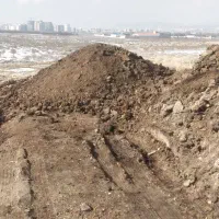 کود حیوانی|خدمات باغبانی و درختکاری|باسمنج, |دیوار