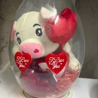 خوک گوی دار