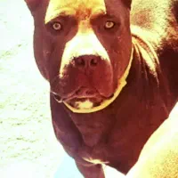 استخدان نیروی آقا تا سن ۲۲ سال با حقوق بالا سلام.