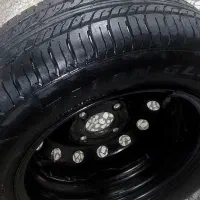 لاستیک پراید و پژویی|قطعات یدکی و لوازم جانبی|رشت, کاکتوس|دیوار