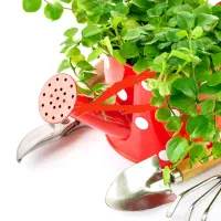 خدمات باغبانی با مدرک معتبر فنی حرفه ای اسدی