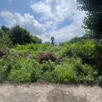 فروش-زمین-600-متر-در-گلسار