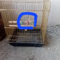 یک عدد قفس خوب فقط 350000