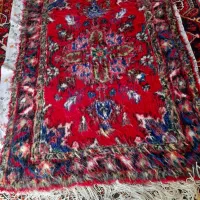 زرع نیم هریس تاجری یک در یک ونیم