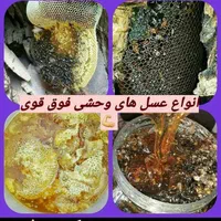 عسل وحشی درمانی فوق قوی