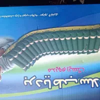 تشک موجی طبی و واکر