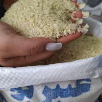 عنبربو به شرط 255